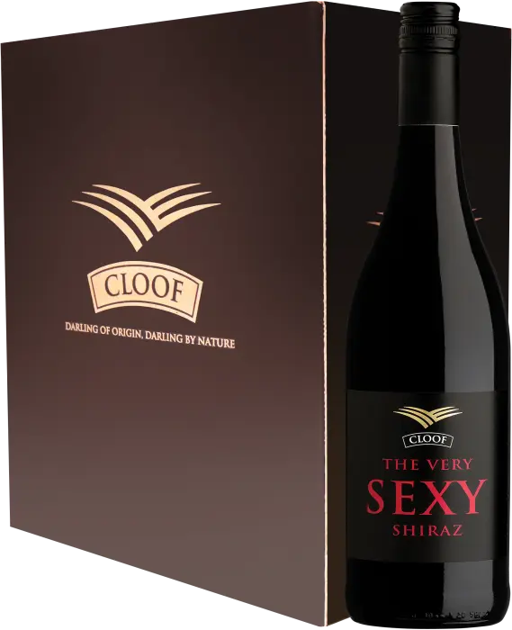 Picture of CLOOF THE V SEXY SHIRAZ 750ML x 6